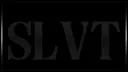 slvt.store splash