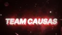 🔥𝗦𝗲𝗿𝘃𝗲𝗿 𝗱𝗲𝗹 𝗧𝗲𝗮𝗺 𝗖𝗮𝘂𝘀𝗮𝘀🔥 splash