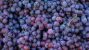 Raisin's Fruit Barn splash