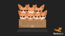 ⤜outfox⤏ splash