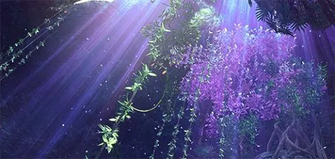 ππππππβπ ππππ
ππ splash