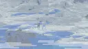 splash