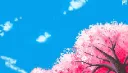 Dank Business Discord server banner