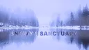 Snowy's Sanctuary  | Castle RP Banner