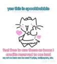 ˋˏ cat garden jr. ˎˊ Discord server banner