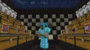 FlayCord┃ 1 Elytra RN splash