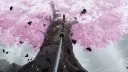 splash
