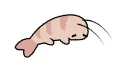 shrimp club splash