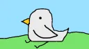 Enten Volk© splash