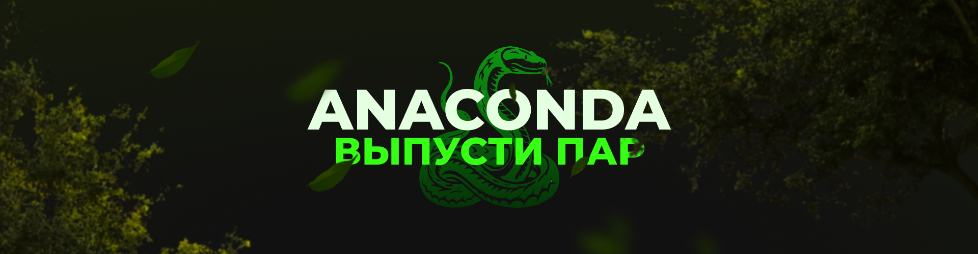 Anaconda
