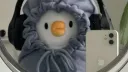 The dino nuggies Discord server banner