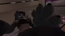 Tigra's Pets splash