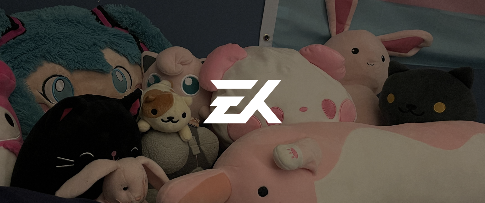 eXpidors Community