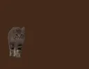 Ducky's Art Lounge Discord server banner