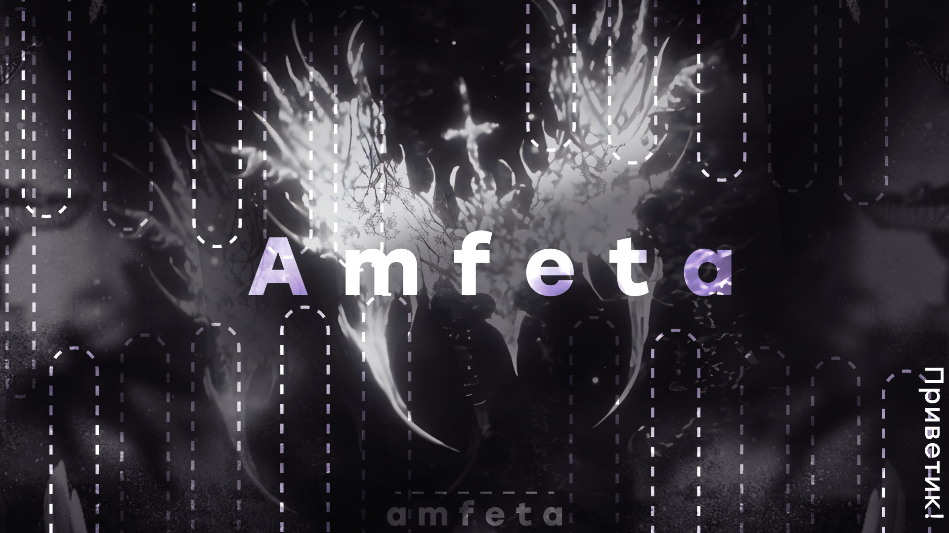𓆩♡𓆪 ╶╴ Amfeta