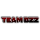 Team BZZ 👑 splash