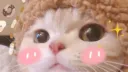 YIPPEE! \(^ヮ^)/ Discord server banner