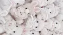 ◜ 𝐰𝐡𝐢𝐬𝐤𝐞𝐫 𝐫𝐞𝐚𝐥𝐦﹒𓂃 🌸◝ Discord server banner