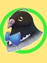 Timmie's Bird: Genshin Creator splash