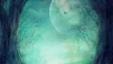 The Library. Discord server banner