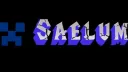 🌟 • Saelum splash