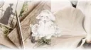 Azure Resonance 💚 Discord server banner