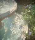 𝒫𝓁𝓊𝓉𝑜'𝓈 𝒢𝒶𝓇𝒹𝑒𝓃 splash