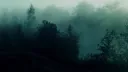 𝙷𝚊𝚞𝚗𝚝𝚎𝚍 𝙻𝚊𝚔𝚎 Discord server banner