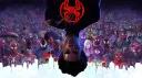 Spider-Verse🕸 splash