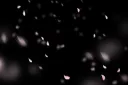 𝐋𝐮𝐜𝐢𝐟𝐞𝐫'𝐬 𝐏𝐥𝐚𝐜𝐞 splash