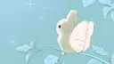 splash