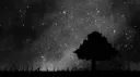 Missing Discord server banner