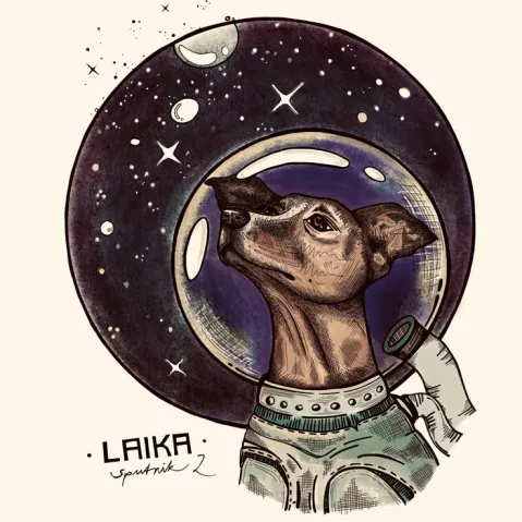 🐶Agência Dominação Lunar 🐾 splash