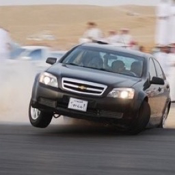 Party of the Sigma's