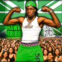 Hawk Tribe splash
