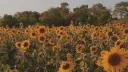 Country Humans English Discord Discord server banner