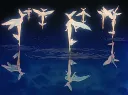 splash