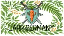 LARP Germany splash