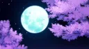 Kawaii Kiwi Official Banner