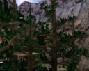 Got2bCommunity Banner