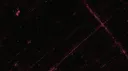 ᏕᎥLEɲʈ ᏟዞAOᏕ Discord server banner