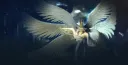 RAPPELZ ANGEL 7.2 EPIC splash