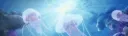☆ Guppy Reef ☆ Discord server banner