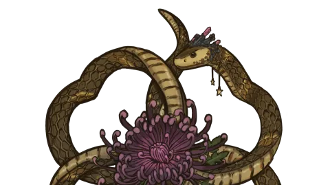 Shades & Sigils 🐍 splash