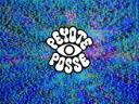 peyote posse Banner
