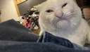 Mini's Discord server banner
