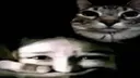 transmasc corner Discord server banner