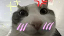 FrameStudio Discord server banner