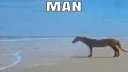 the man man man's server Discord server banner