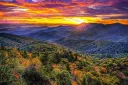 Half-Blood Haven Discord server banner